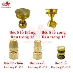 Tên gọi thông dụng khác :