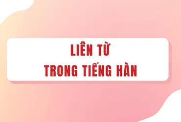 Cá Sấu Tiếng Hán: Cách Gọi, Ý Nghĩa Và Những Điều Thú Vị
