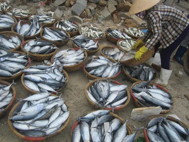 Cá Sọc Dưa Biển: Đặc Điểm, Giá Trị Và Những Điều Thú Vị Có Thể Bạn Chưa Biết