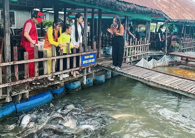 Cá Sơn Nước Ngọt Là Gì? Tổng Quan Về Loại Cá Đặc Trưng