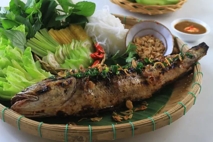 cá sộp là cá gì cá sộp là cá gì