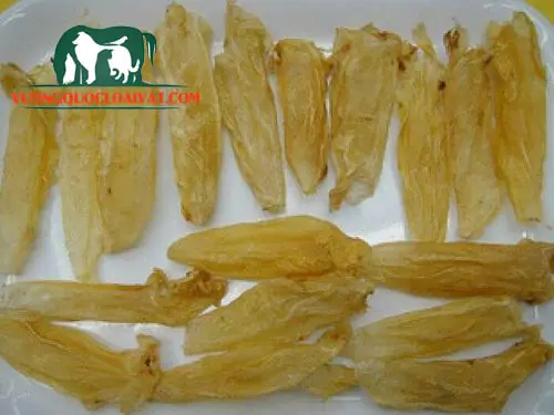 Trong y học