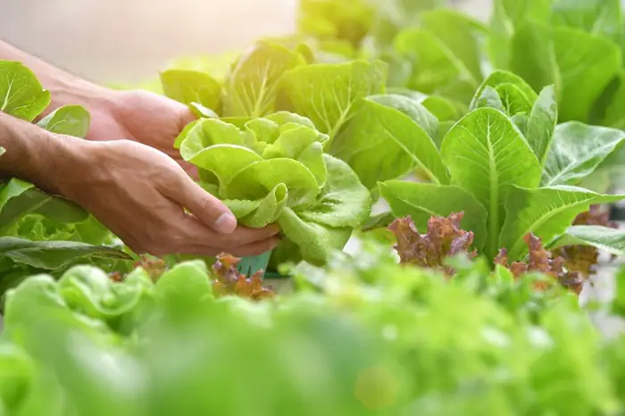 Bộ Khoa học và Công nghệ bổ nhiệm lãnh đạo tại 5 đơn vị trực thuộc