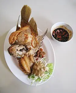 Tên Tiếng Anh Của Cá Tai Tượng Là Gì?