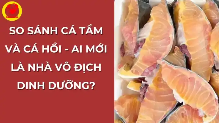 Cá Tầm và Cá Hồi: Đặc Điểm, Kỹ Thuật Nuôi Trồng Thành Công