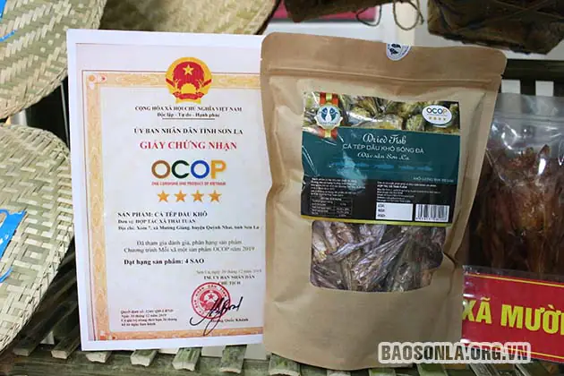 Cá Tép Dầu Sông Đà: Nguồn Gốc, Giá Trị và Quy Trình Chế Biến