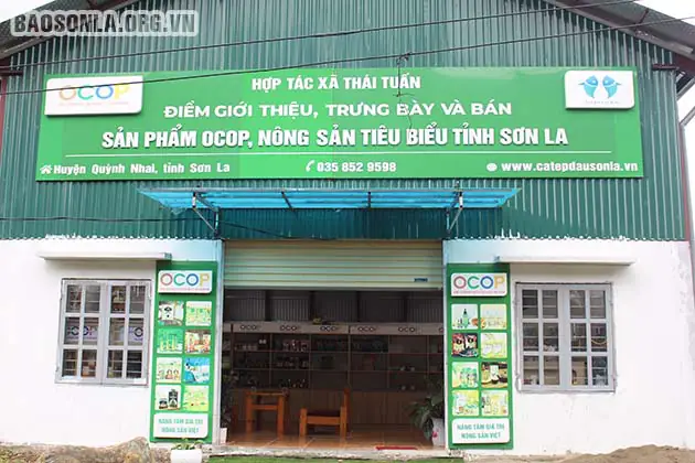 Cá Tép Dầu Sông Đà: Nguồn Gốc, Giá Trị và Quy Trình Chế Biến