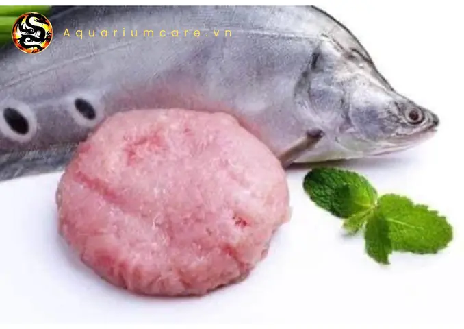 Hướng Dẫn Nuôi Cá Thác Lác Cảnh Khỏe Mạnh Và Phát Triển Tốt