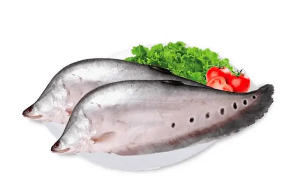 Cá Thát Lát Là Cá Gì? Khám Phá Đặc Điểm, Giá Trị Dinh Dưỡng Và Ứng Dụng
