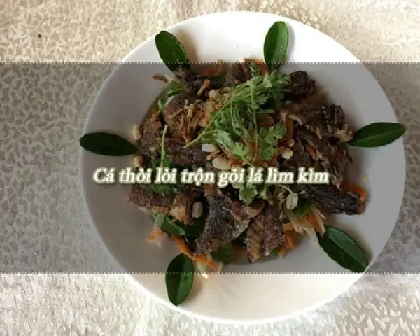 Khám Phá Cá Thòi Lòi Cần Giờ: Những Điều Bạn Cần Biết