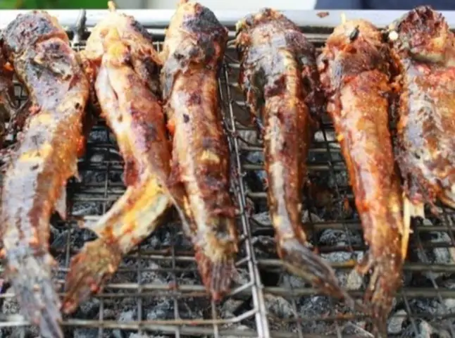 Khám Phá Cá Thòi Lòi Sông: Đặc Điểm, Giá Trị và Món Ngon