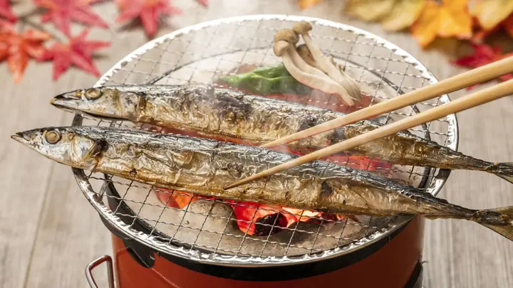 Cá Thu Đao Nhật Bản: Đặc Điểm, Giá Trị và Cách Thưởng Thức