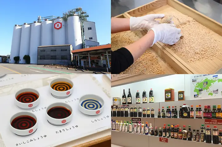 Cá Thu Đao Nhật Bản: Đặc Điểm, Giá Trị và Cách Thưởng Thức
