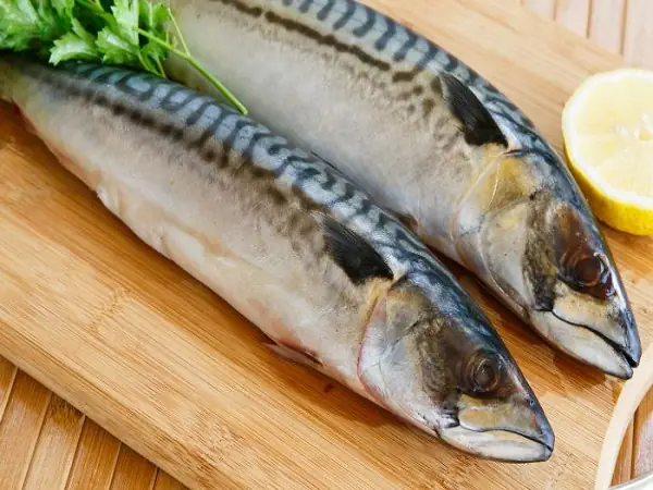 Cá Thu Phấn Nhỏ: Đặc Điểm, Môi Trường Sống Và Cách Nuôi