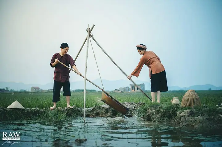 Cá Tiến Vua là cá gì? Giải mã về loài cá rồng quý hiếm này