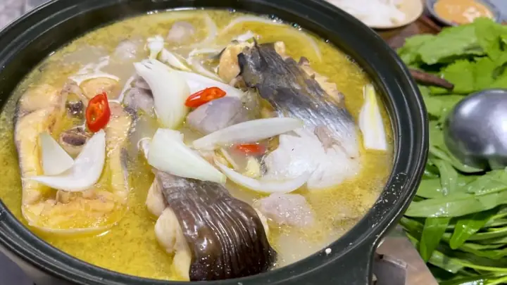 Cá Tra Da Bò: Đặc Điểm Nhận Dạng Và Hướng Dẫn Nuôi Hiệu Quả