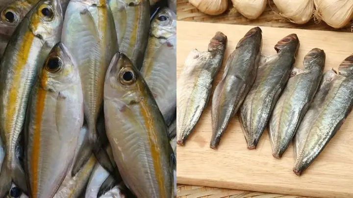 Cá Trác Là Cá Gì? Đặc Điểm, Giá Trị Dinh Dưỡng & Cách Phân Biệt