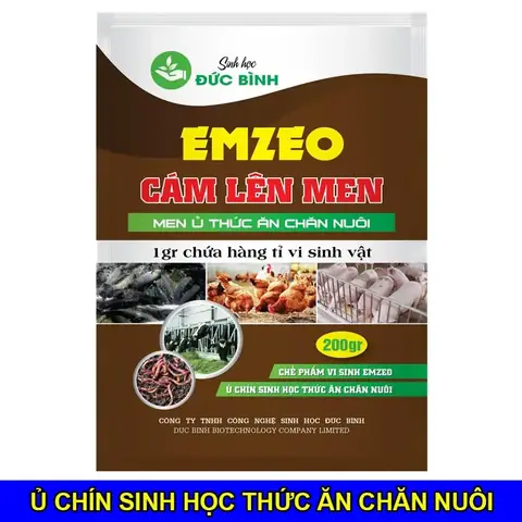 Làm mồi câu trắm đen bằng khoai lang và bã bia Làm mồi câu trắm đen bằng khoai lang và bã bia