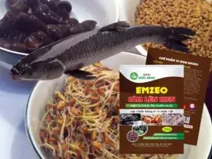Cách làm mồi câu cá trắm đen cực nhậy
