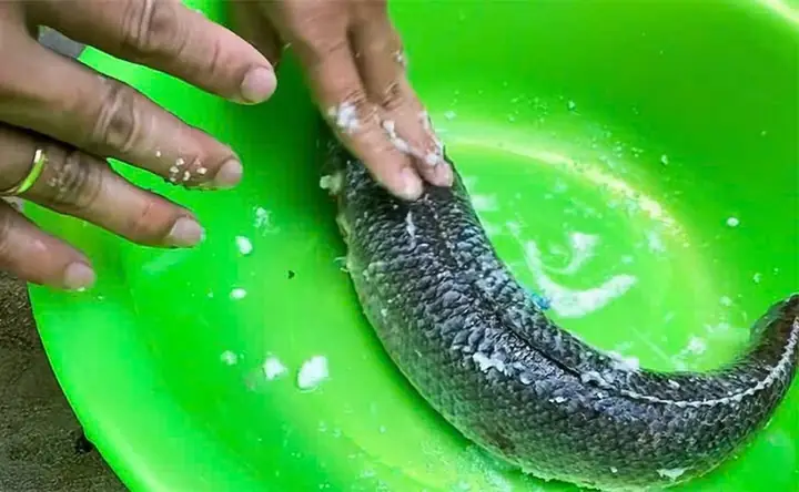 Một số lưu ý khi sử dụng