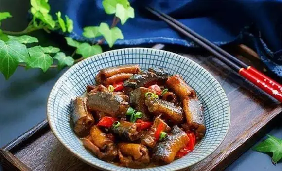 Cá Trê Có Ăn Xác Chết Không? Sự Thật Đằng Sau Tin Đồn