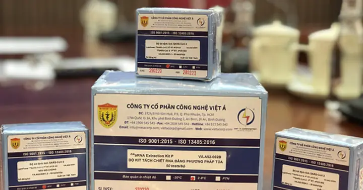 Cá Trê Chui Ống: Giải Mã Thành Ngữ Và Sự Thật Về Loài Cá Trê
