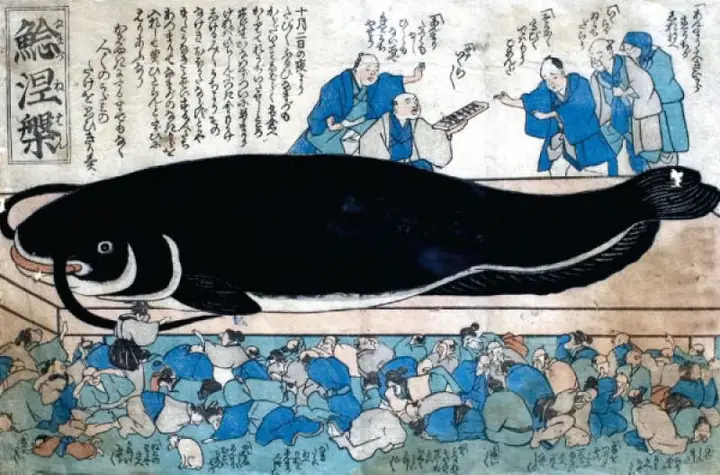 Namazu: Cá trê khổng lồ gây ra động đất tại Nhật Bản