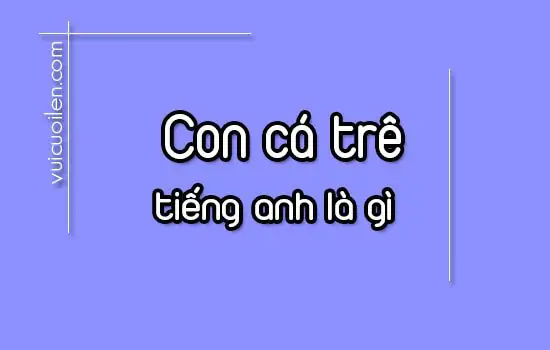 Cá Trê Tiếng Anh Là Gì? Khám Phá Danh Pháp & Phát Âm
