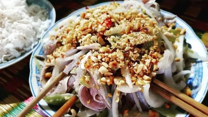 Cá Trích Ăn Gì? Khám Phá Chế Độ Dinh Dưỡng Của Loài Cá Này