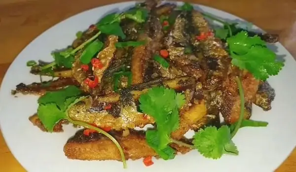 Cá Trích Là Cá Sông Hay Cá Biển? Giải Mã Loài Cá Này