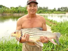 Cá Trong Sách Đỏ Việt Nam: Thực Trạng và Giải Pháp Bảo Tồn