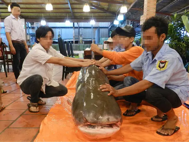 Cá Trong Sách Đỏ Việt Nam: Thực Trạng và Giải Pháp Bảo Tồn