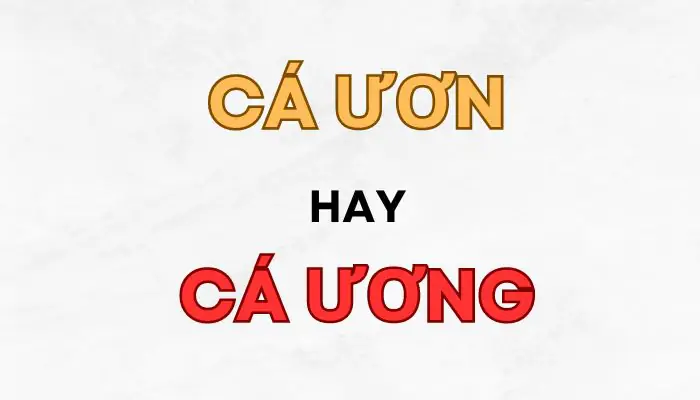 Cá Ươn Là Gì: Dấu Hiệu Nhận Biết Và Cách Tránh Mua Cá Hỏng