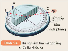 Cá vàng khỏe mạnh đang bơi lội trong bể cá cảnh