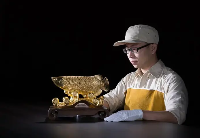 Cá Vàng Kim Ngư: Hướng Dẫn Nuôi và Chăm Sóc Đúng Cách Cá Vàng Kim Ngư: Hướng Dẫn Nuôi và Chăm Sóc Đúng Cách