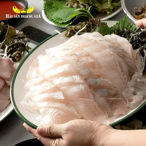 Cá Vàng Nhập Khẩu: Cẩm Nang Nuôi Dưỡng & Lựa Chọn Hoàn Hảo