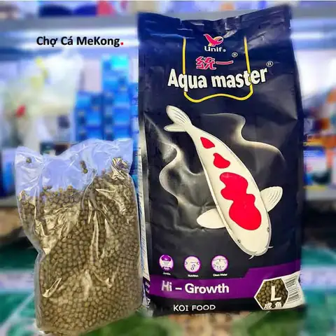 Cá Vàng Oranda Đẹp: Đặc Điểm, Chăm Sóc & Mẹo Nuôi Chuẩn Chuyên Gia