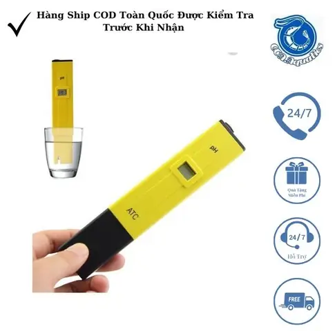 Cách Gọi **Cá Vàng Tiếng Anh** Chuẩn Xác Nhất & Thuật Ngữ Liên Quan