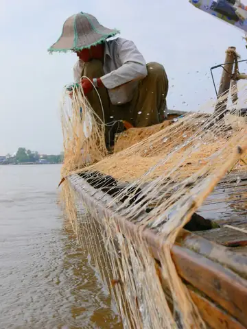 Cá Vồ Đém Ăn Mồi Gì? Giải Mã Thực Đơn Chi Tiết Cá Vồ Đém Ăn Mồi Gì? Giải Mã Thực Đơn Chi Tiết