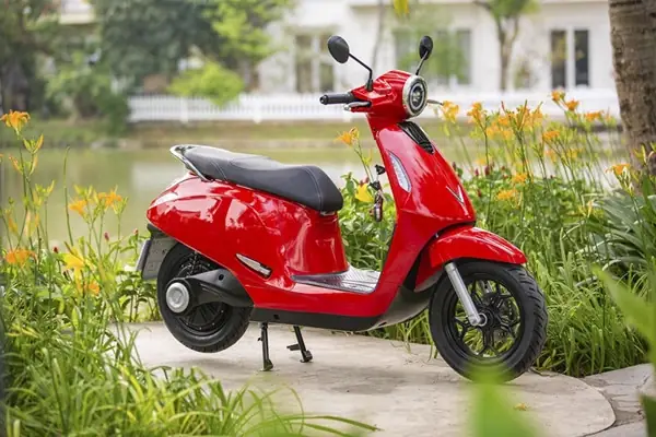 Cá Xiêm Đá Độ TPHCM: Hướng Dẫn Chi Tiết Từ Chuyên Gia