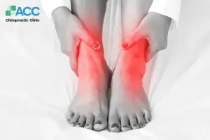 Cá Xương Là Gì? Đặc Điểm, Phân Loại và Tầm Quan Trọng Trong Thế Giới Thủy Sinh