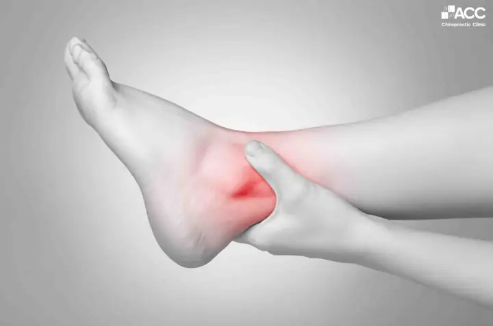 Cá Xương Là Gì? Đặc Điểm, Phân Loại và Tầm Quan Trọng Trong Thế Giới Thủy Sinh