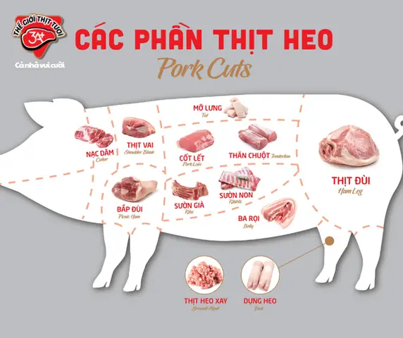 Cá Xương Xanh Trong Tiếng Anh: Tên Gọi, Đặc Trưng & Phân Bố
