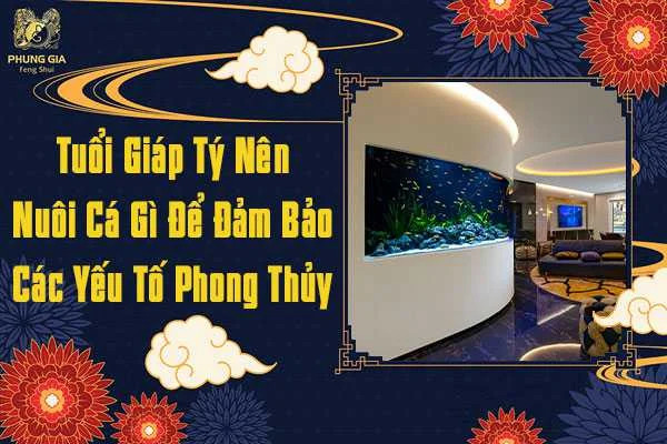 Các loài cá cảnh phù hợp phong thủy cho tuổi Giáp Tý 1984