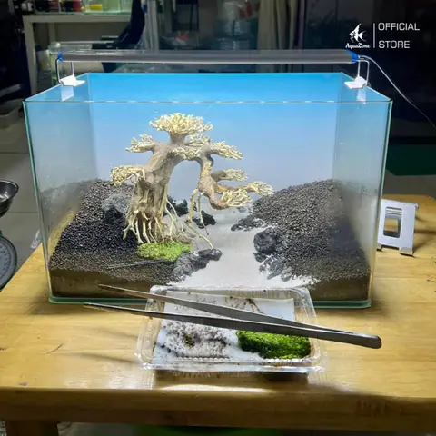 Chọn Bể Cá Phù Hợp