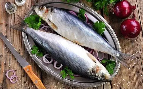 4. Cá trích ( 3181 mg/ khẩu phần ăn)