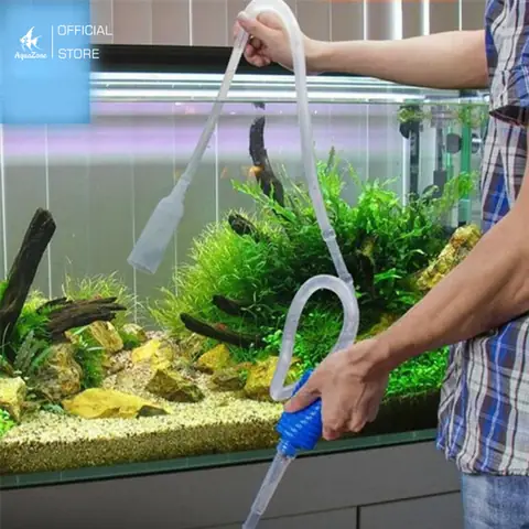 Các Loại Cá Hải Hồ Phổ Biến và Hướng Dẫn Nuôi Chi Tiết