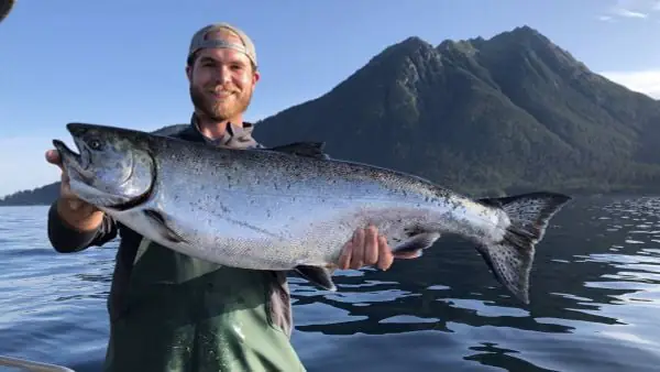 Chinook