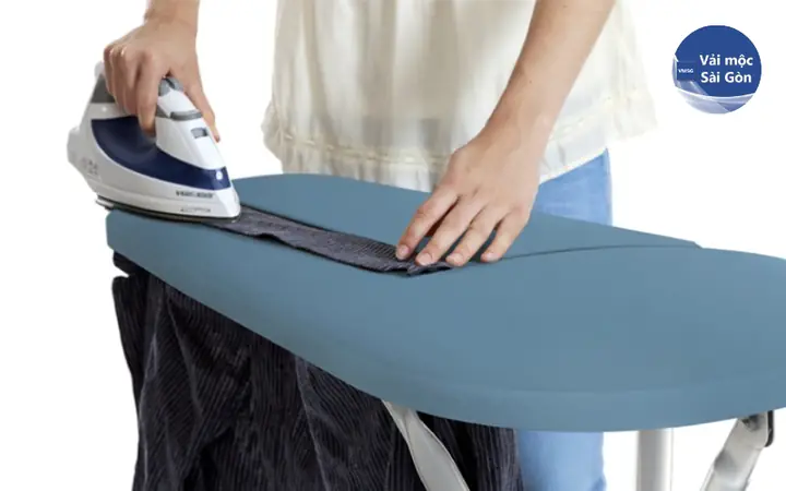 các loại cá mập