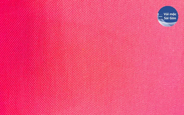 các loại cá mập